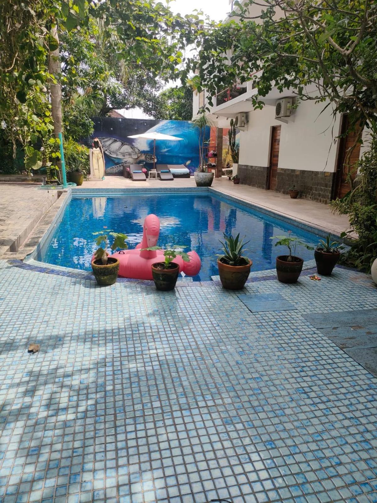 Villa Lotus 8 Чангу Екстер'єр фото
